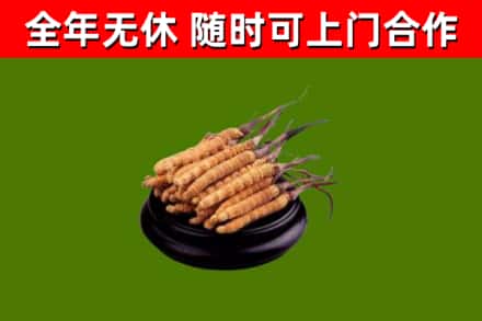 绥滨县烟酒回收冬虫夏草.jpg
