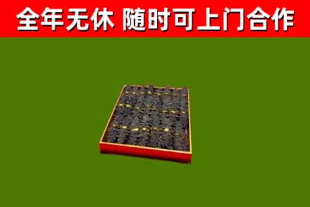 绥滨县回收海参